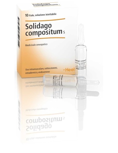 Guna-Heel Solidago Compositum S Omeopatico